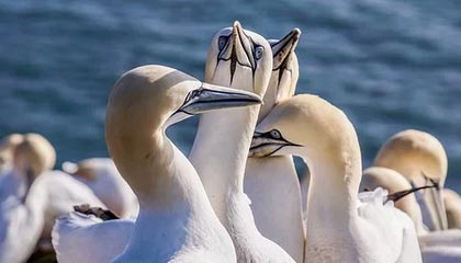 说分手就分手是什么歌 说分手就分手谁唱的